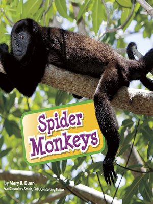 cover image of Spider Monkeys
